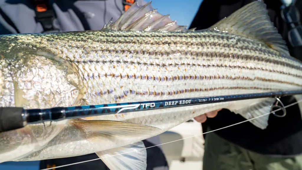 TFO Deep Eddy Nearshore Casting Rods